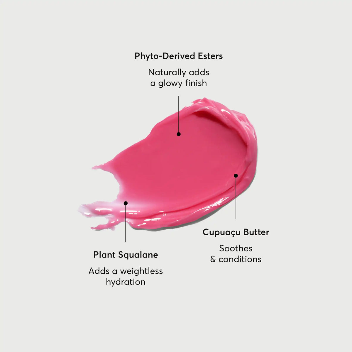 phyto-glow-lip-balm-camellia-y9 NATR-60075-Alt-Images-Phyto-Glow-Lip-Balm-Camellia-01.webp